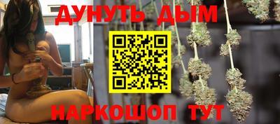 крисы Нальчик