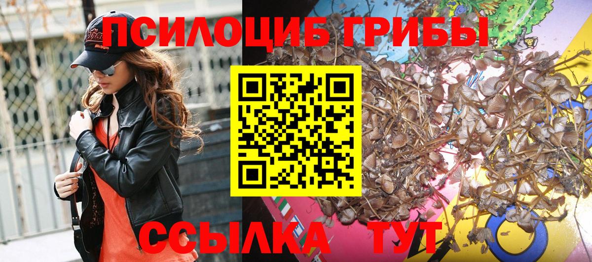 Псилоцибиновые грибы прущие грибы  Галлюциногенные грибы Magic Shrooms  Сызрань  Вход с VPN 